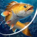 Fishing Hook mod apk
