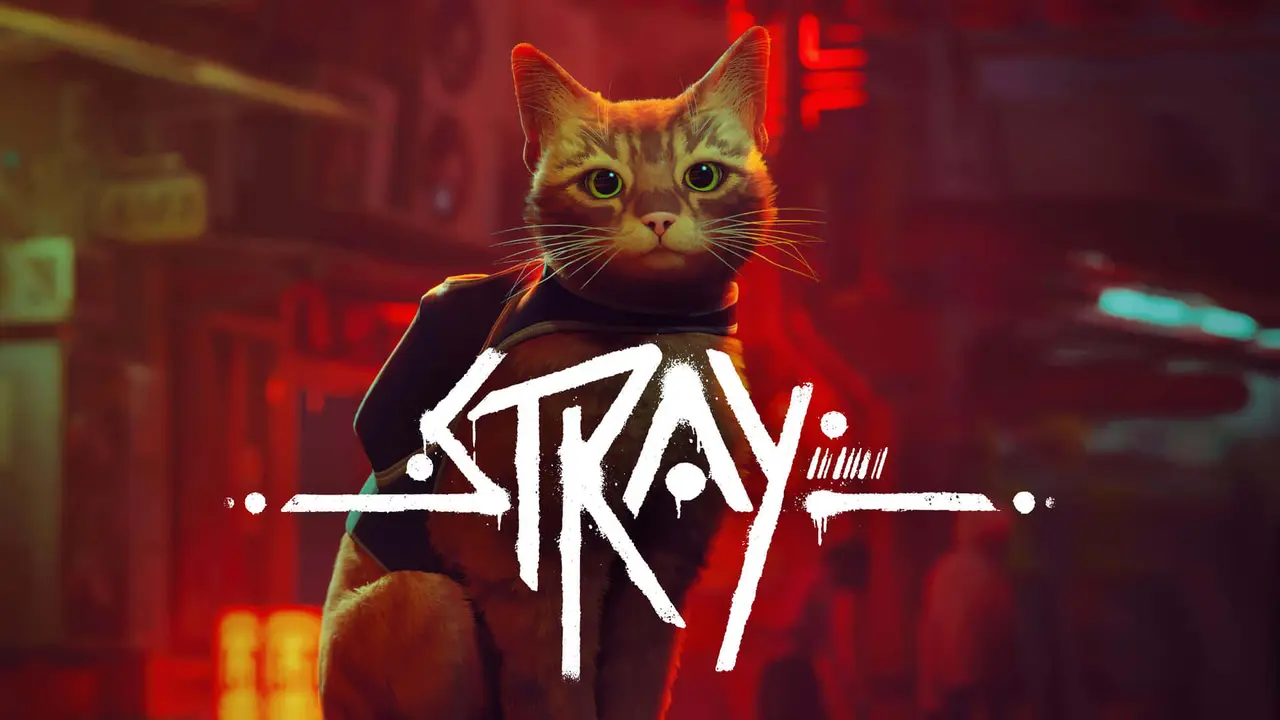 Stray mobile – Play on Android & iOS